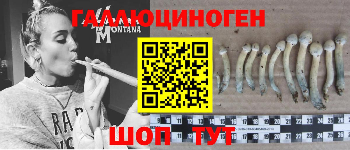 Владимир  Галлюциногенные грибы Cubensis  Вход с VPN 