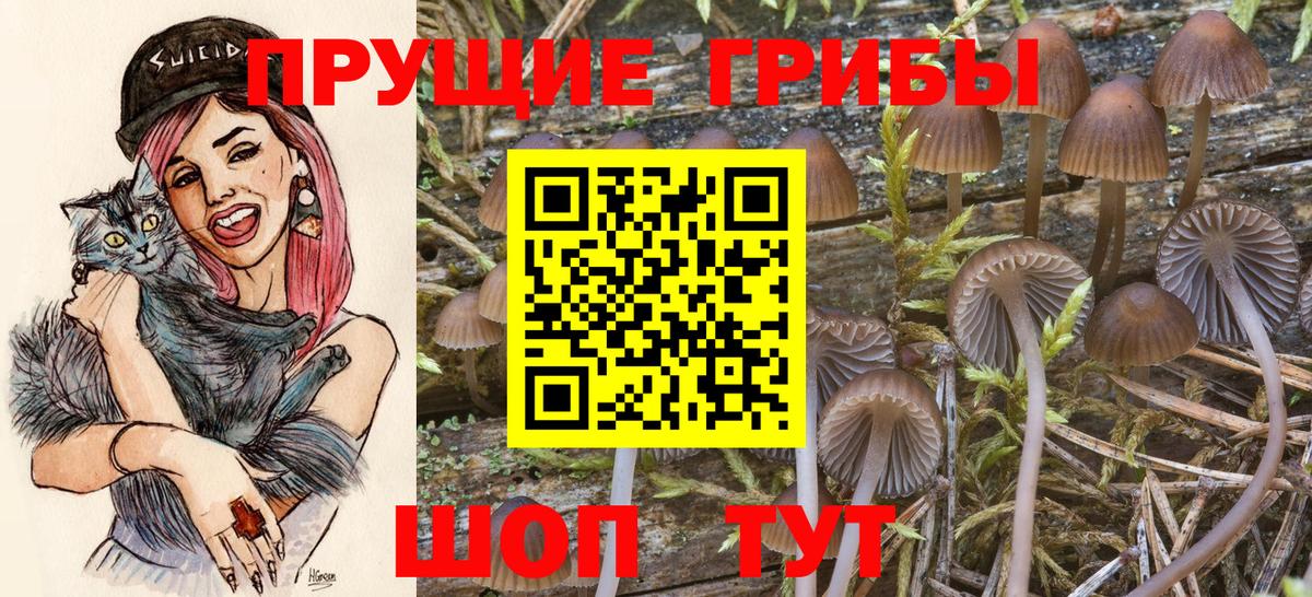Галлюциногенные грибы Magic Shrooms Владимир